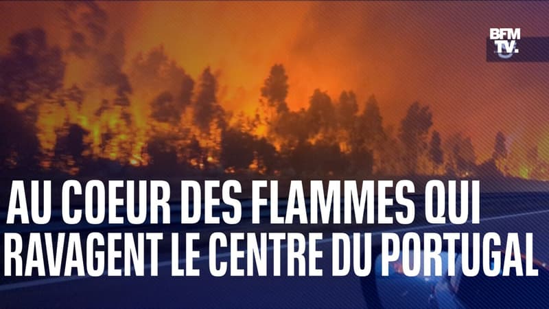 Au coeur des flammes qui ravagent le centre du Portugal