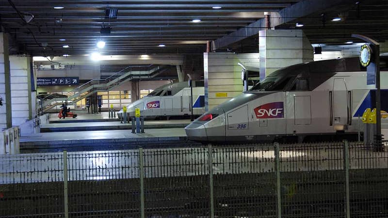 Deux TGV en attente, au terminus de la gare Montparnasse à Paris.