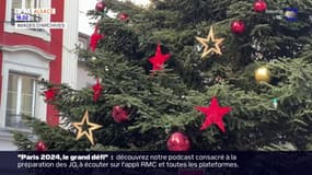 Mulhouse; la ville recherche ses deux futurs sapins de Noël