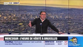 Mercosur : l'heure de vérité à Bruxelles