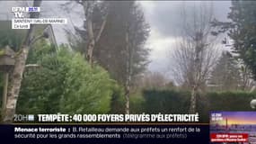 Tempête Floriane: 40.000 foyers privés d'électricité