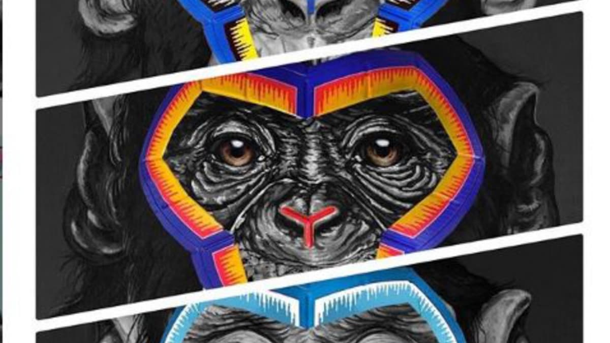 Les singes de Simone Fugazzotto Les singes de Simone Fugazzotto