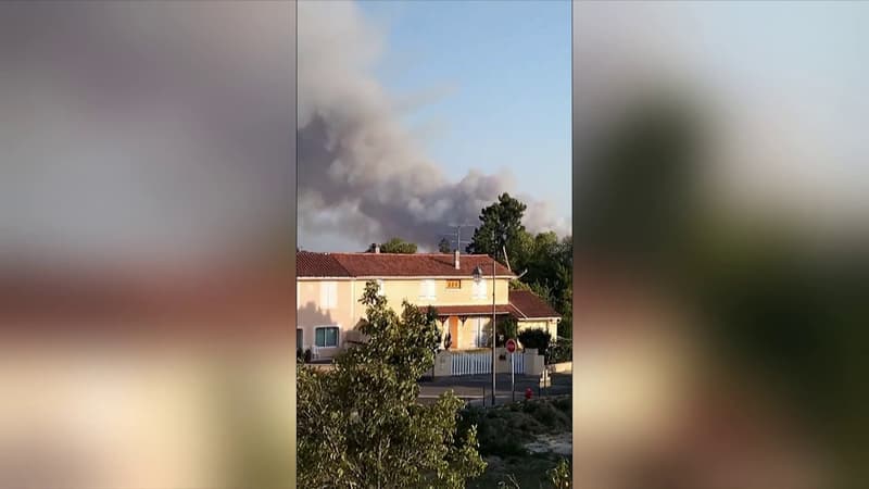 Charente: 60 hectares de végétation parcourus par un feu de forêt, plusieurs Dash et Canadair déployés