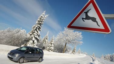Les assureurs devraient mettre la pédale douce sur les hausses de tarifs dans l'assurance automobile
