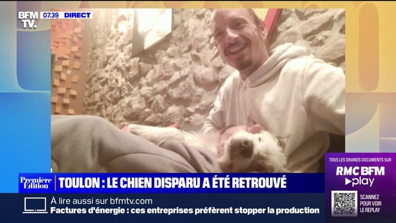Milky, le chien disparu depuis plus de deux semaines à Toulon a été retrouvé