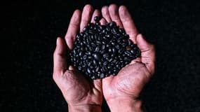 Des grains de café robusta sur l'île de Java, en Indonésie