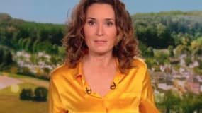TF1 annule la diffusion du JT de 13h en "raison d'un problème technique"

