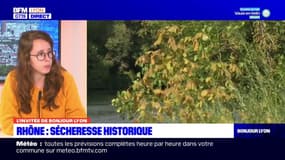 Sécheresse: des mesures dans le Rhône?