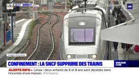 Confinement: 50% de trains en moins sur l'axe Lyon-Paris