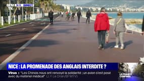 Confinement: à Nice, le préfet dénonce "trop de personnes qui se promènent"