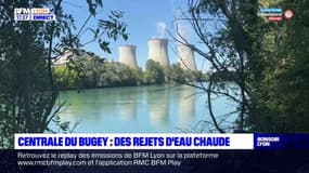 Centrale du Bugey : des rejets d'eau chaude