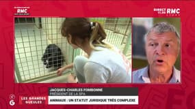 Jacques-Charles Fombonne face aux GG - 15/08