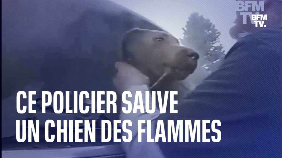 placeholder video