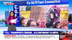 Retraites : la grève continue dans les secteurs des transports et de l'énergie