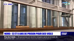 Nord: deux hommes condamnés à 12 et 8 ans de prison pour des viols