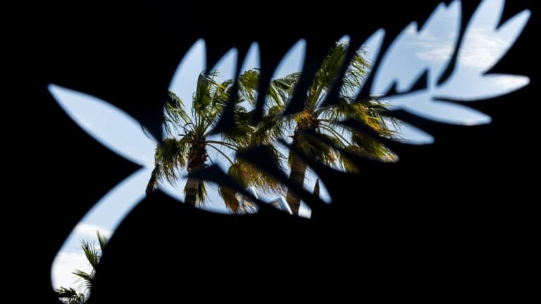 DIRECT. Cannes 2024: Rasoulof et Audiard favoris pour la Palme d'or, suivez la cérémonie de clôture 2 Logo du festival de Cannes le 13 mai 2024 1862401