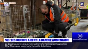 Les joueurs de la SIG Strasbourg viennent en aide à la banque alimentaire du Bas-Rhin