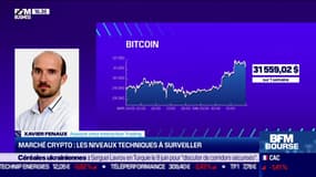 Les réseaux sociaux ont-ils un effet autoréalisateur sur les cours des cryptos ?