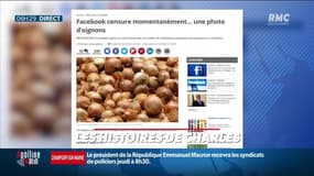 L'algorithme Facebook censure une photo d'oignons, jugée trop sexy