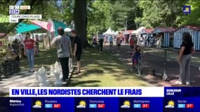 Chaleur: Tourcoing-Plage fait déjà le plein