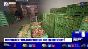Alsace: un agriculteur bio de Buswiller en difficulté
