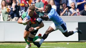 Harlequins Montpellier
