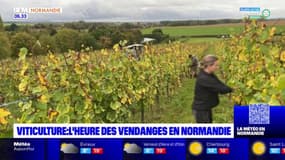 Seine-Maritime: un adolescent meurt dans un accident de chasse