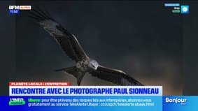 Hautes-Alpes : la première rencontre entre le photographe Paul Sionneau et l'aigle royal