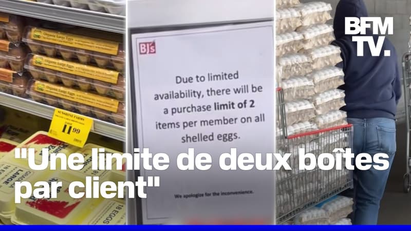 Ruée dans les magasins, prix en hausse, nombre limite de boites par client... Pourquoi les Américains se ruent sur les oeufs