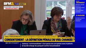 Viol: "Cette proposition de loi placerait la victime et l'agresseur sur un même plan", pour Céline Thiébault-Martinez (PS)