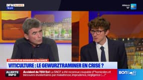 Alsace: quel avenir pour le cépage Gewurztraminer?