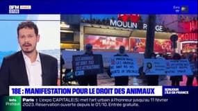 Paris: une manifestation pour le droit des animaux devant le Moulin Rouge