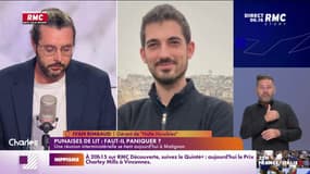 Punaises de lit: faut-il paniquer ?