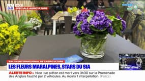Salon de l'agriculture: la violette de Tourrette mise à l'honneur sur le stand des Alpes-Maritimes