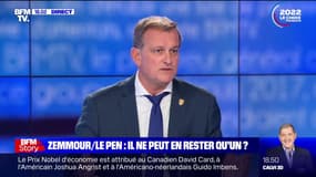 Présidentielle: pour Louis Aliot, maire RN de Perpignan, Éric Zemmour "est le trublion de cette pré-campagne"
