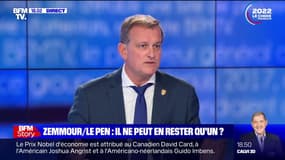 Présidentielle: pour Louis Aliot, maire RN de Perpignan, Éric Zemmour "est le trublion de cette pré-campagne"