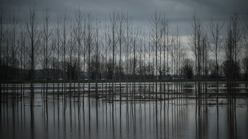 Regarder la vidéo Pluie-inondations: Météo France place trois départements en vigilance orange