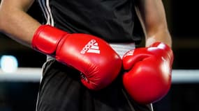 Des gants de boxe, illustration
