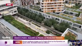 Crack à Paris: malgré la police, le problème persiste