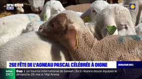 Digne: un grand succès pour la fête de l'agneau Pascal