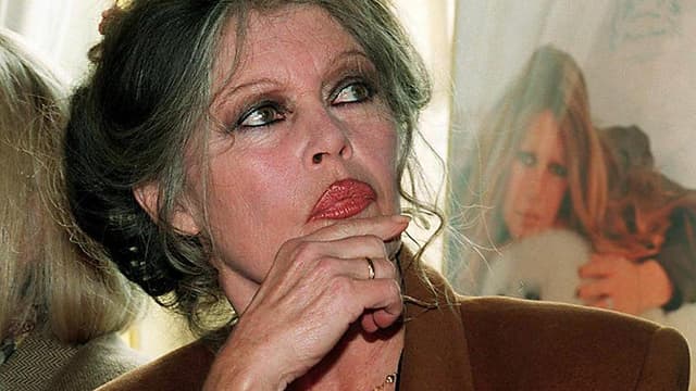 Brigitte Bardot a choisi RMC pour un entretien exclusif d'une heure