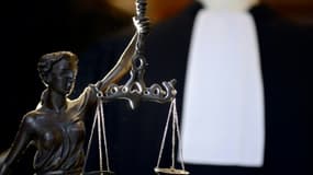 Pour éviter d'être désigné comme juré, un homme de 38 ans s'est présenté devant la Cour d'assises du Vaucluse affublé d'une perruque vert fluo, ce qui lui vaut des poursuites pour "outrage"