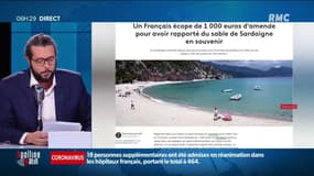 Un perroquet devient une star en imitant Beyonce à la perfection