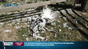 Quatre mineurs en garde-à-vue après avoir massacré les animaux d'une ferme pédagogique