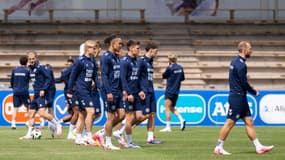 Les Danois à l'entraînement avant l'Euro, le 12 juin 2024.