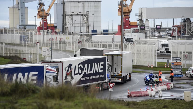 Des camions attendent au port de Calais pour embarquer sur un ferry.