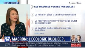 Emmanuel Macron a-t-il oublié l'écologie ?