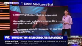 LES ÉCLAIREURS - Loi immigration: les points de tension