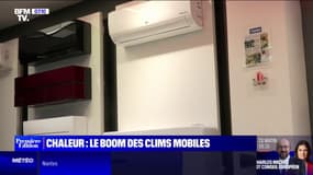 Avec l'arrivée des fortes chaleurs, les consommateurs se ruent sur les climatiseurs mobiles