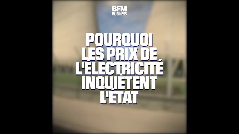 Pourquoi les prix de l'électricité inquiètent l'État